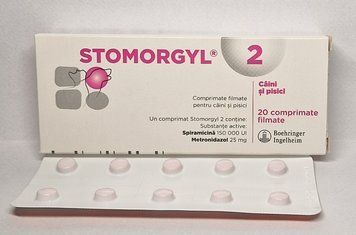 Стоморджил&nbsp;2 мг 10 таб. (Stomorgyl 2 mg) антибактеріальний засіб для собак і кішок 00093 фото